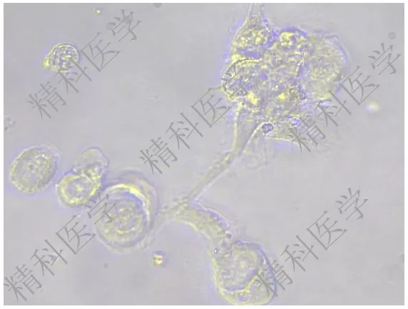 1591944466669980.png image.png