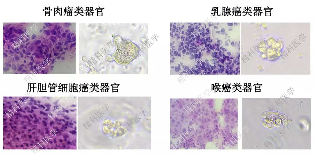 1591944571444448.png image.png