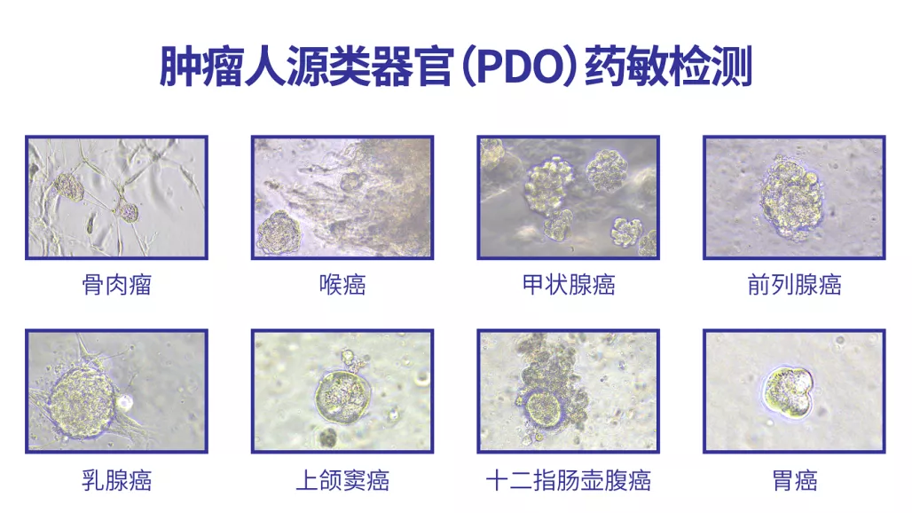 1633682976285042.png image.png