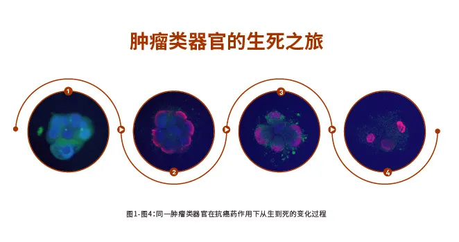 1633682996151164.png image.png