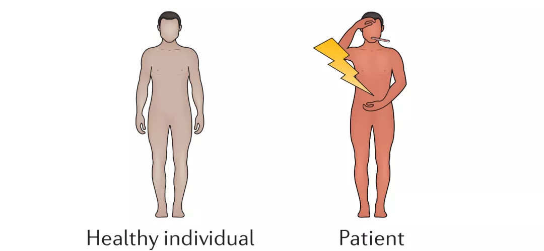 1639020500236234.png image.png