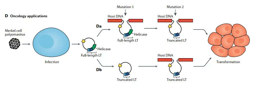 1639020549583924.png image.png