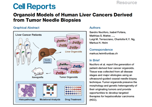 1663588005834960.png image.png