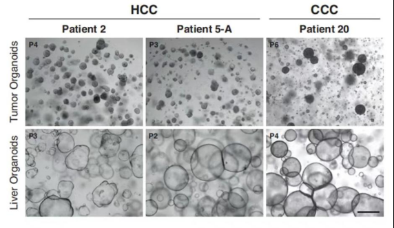 1663588084434575.png image.png