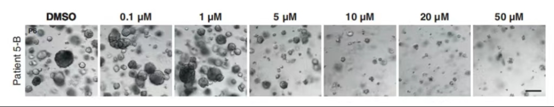 1663588114879761.png image.png