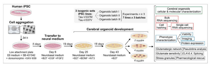 1681106891500454.png image.png