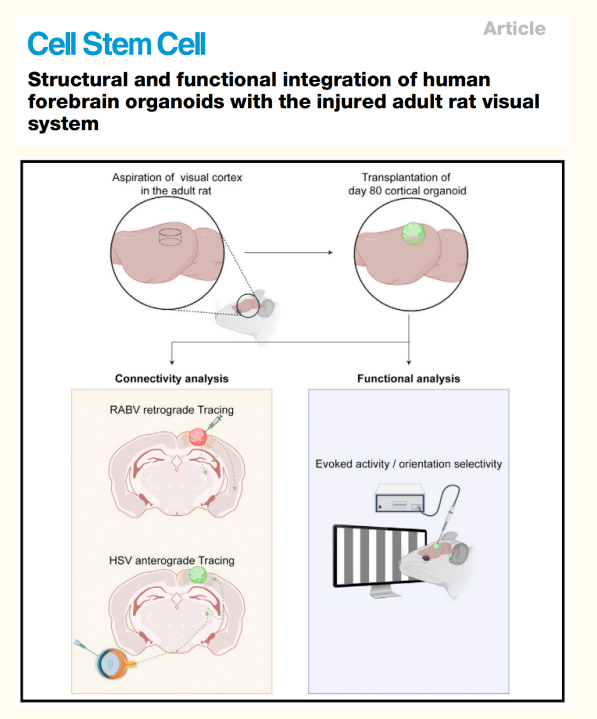 1683795807977742.png image.png