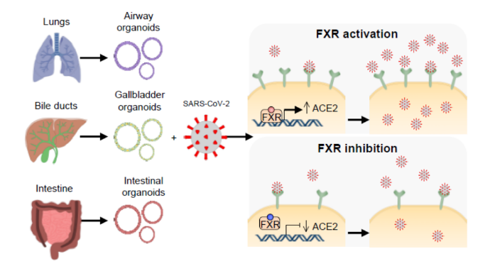 1684121974277140.png image.png