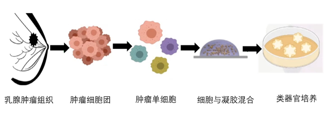 1684122229583719.png image.png