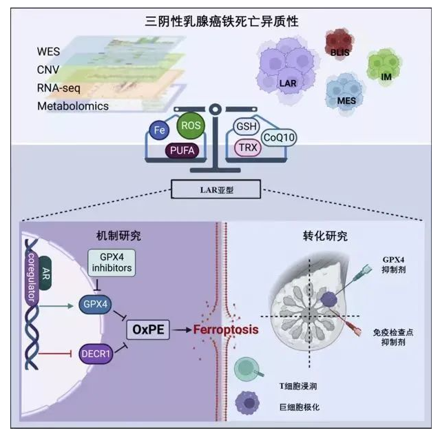 1684122256983494.png image.png