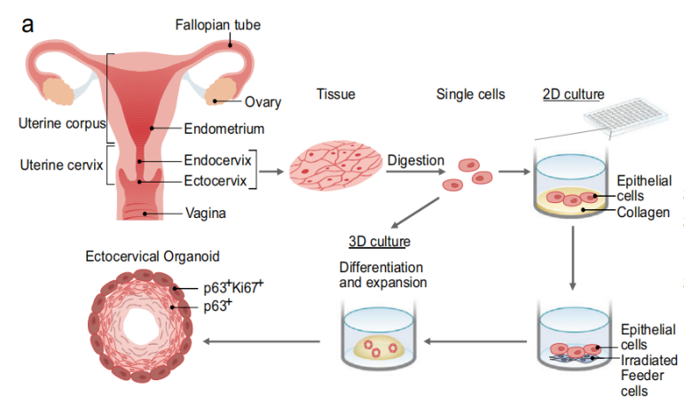 1684129578522380.png image.png