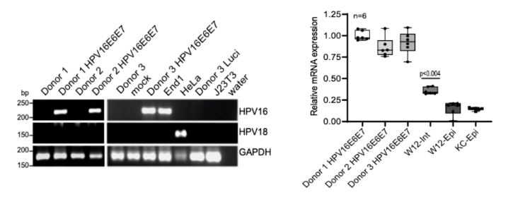 1684129593794503.png image.png