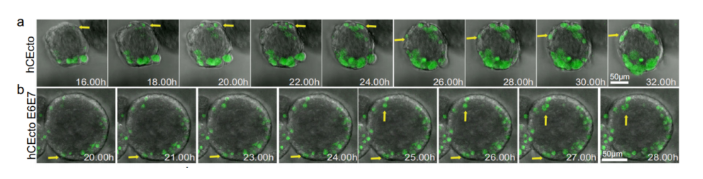 1684129620810655.png image.png