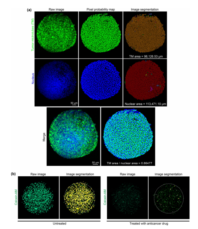 1684131282100523.png image.png