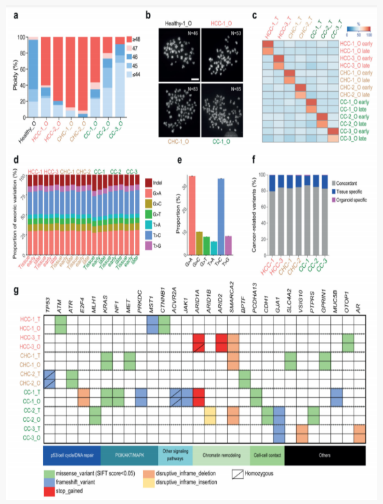 1684132678822461.png image.png