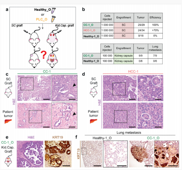 1684132719748435.png image.png